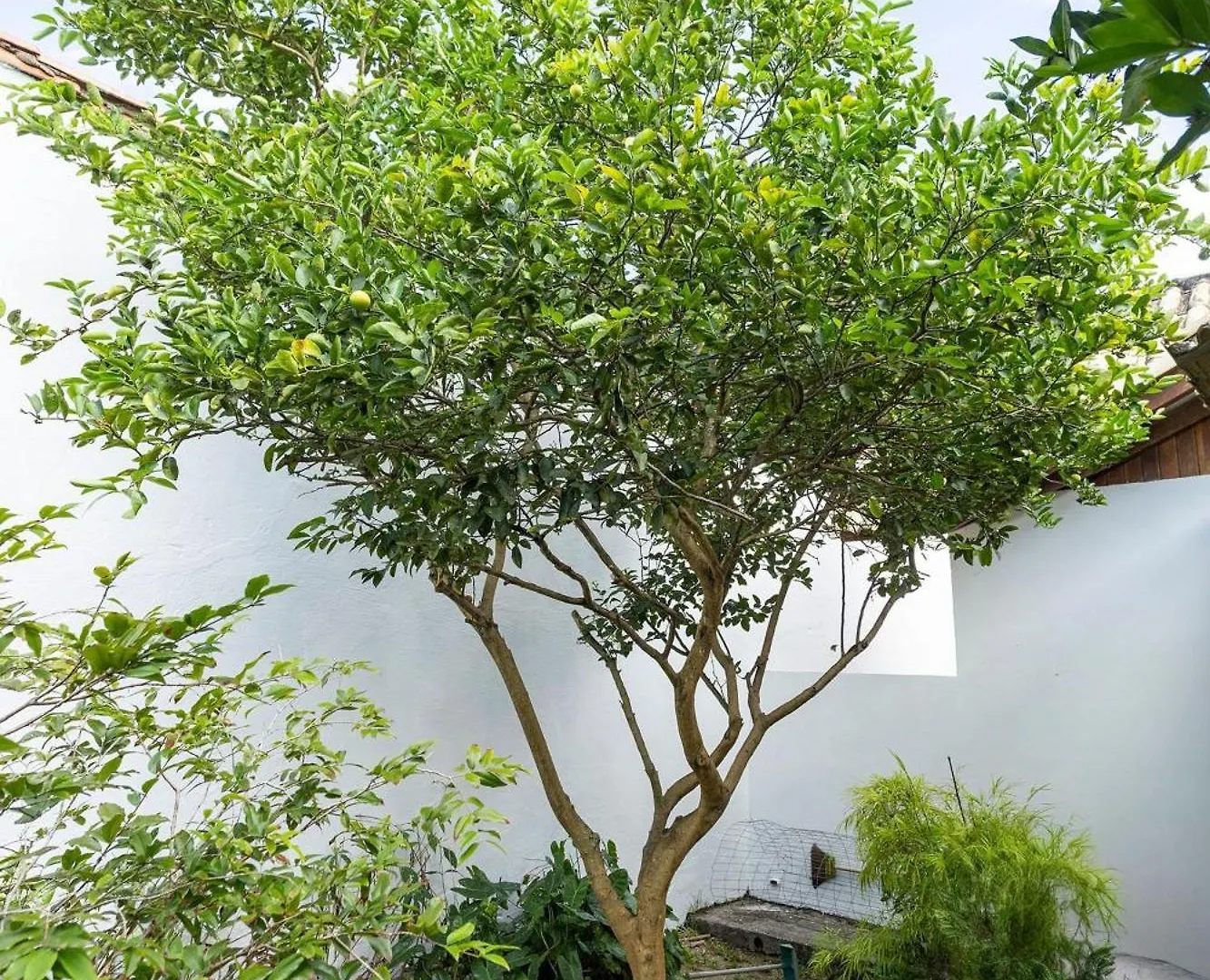 Casa Encantadora Em Geriba | Bzr13 Armacao dos Buzios 0*,